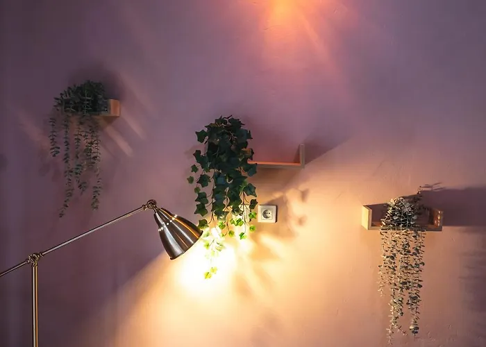 公寓 The Cozy Nest *